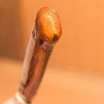 20161222-DSC_0515