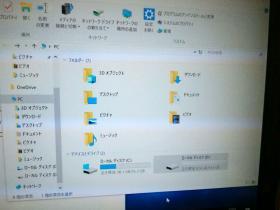 ベアボーン29