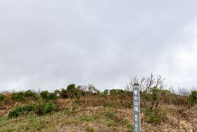葉山頂上