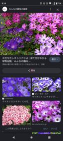 googleレンズ