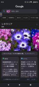 グーグルレンズ検索