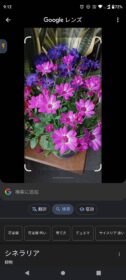 グーグルレンズ