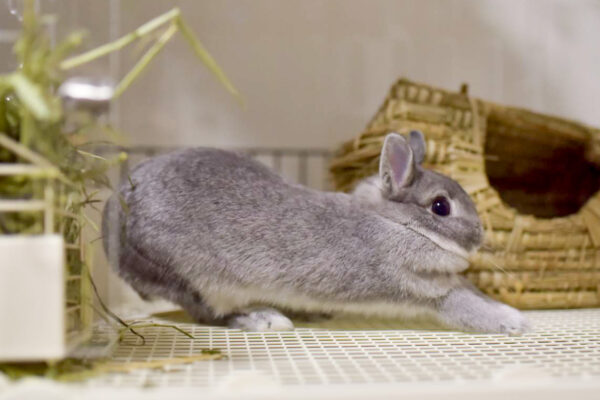 ペルチェ素子でクーラー ｜ 山形パソコン教室