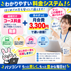 月々3300円
